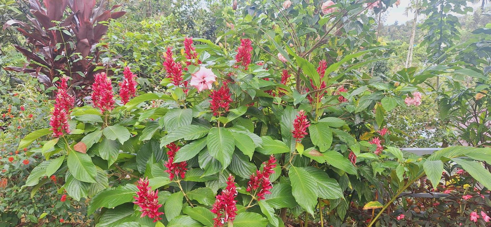 Tranquil Meadows Hues Apartment Kattappana Luaran gambar